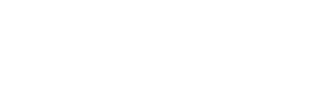 National Elevator Insurance Solutions white logo